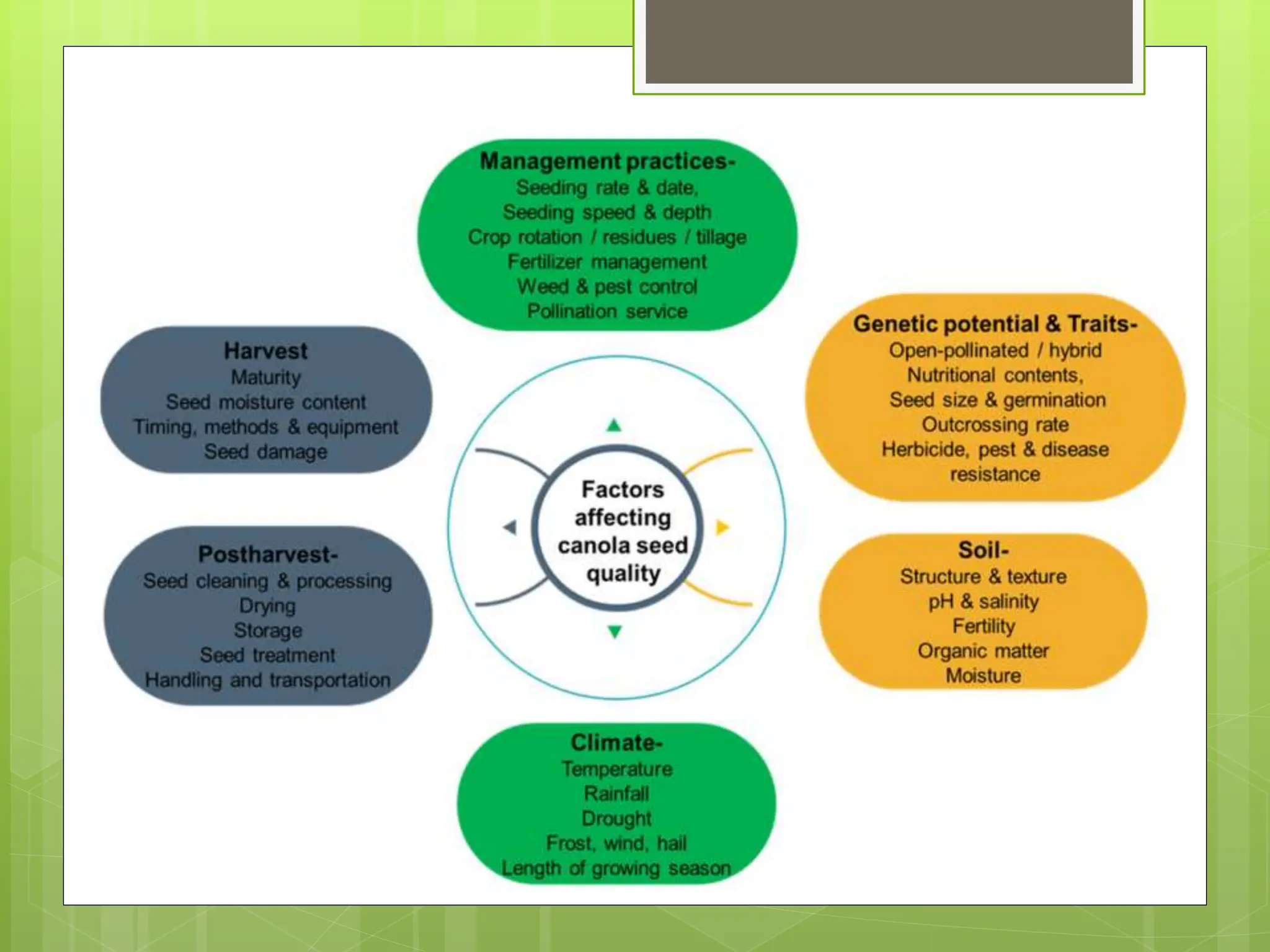 Seed storage, types and describe factors affecting longevity of seed ...