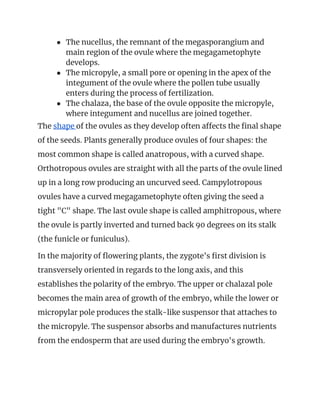 ● The nucellus, the remnant of the megasporangium and 
main region of the ovule where the megagametophyte 
develops. 
● The micropyle, a small pore or opening in the apex of the 
integument of the ovule where the pollen tube usually 
enters during the process of fertilization. 
● The chalaza, the base of the ovule opposite the micropyle, 
where integument and nucellus are joined together. 
The ​shape ​of the ovules as they develop often affects the final shape 
of the seeds. Plants generally produce ovules of four shapes: the 
most common shape is called anatropous, with a curved shape. 
Orthotropous ovules are straight with all the parts of the ovule lined 
up in a long row producing an uncurved seed. Campylotropous 
ovules have a curved megagametophyte often giving the seed a 
tight "C" shape. The last ovule shape is called amphitropous, where 
the ovule is partly inverted and turned back 90 degrees on its stalk 
(the funicle or funiculus). 
In the majority of flowering plants, the zygote's first division is 
transversely oriented in regards to the long axis, and this 
establishes the polarity of the embryo. The upper or chalazal pole 
becomes the main area of growth of the embryo, while the lower or 
micropylar pole produces the stalk-like suspensor that attaches to 
the micropyle. The suspensor absorbs and manufactures nutrients 
from the endosperm that are used during the embryo's growth. 
 
 