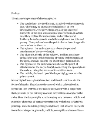 Embryo  
The main components of the embryo are: 
● The cotyledons, the seed leaves, attached to the embryonic 
axis. There may be one (Monocotyledons), or two 
(Dicotyledons). The cotyledons are also the source of 
nutrients in the non-endospermic dicotyledons, in which 
case they replace the endosperm, and are thick and 
leathery. In endospermic seeds the cotyledons are thin and 
papery. Dicotyledons have the point of attachment opposite 
one another on the axis. 
● The epicotyl, the embryonic axis above the point of 
attachment of the cotyledon(s). 
● The plumule, the tip of the epicotyl, and has a feathery 
appearance due to the presence of young leaf primordia at 
the apex, and will become the shoot upon germination. 
● The hypocotyl, the embryonic axis below the point of 
attachment of the cotyledon(s), connecting the epicotyl and 
the radicle, being the stem-root transition zone. 
● The radicle, the basal tip of the hypocotyl, grows into the 
primary root. 
Monocotyledonous plants have two additional structures in the 
form of sheaths. The plumule is covered with a coleoptile that 
forms the first leaf while the radicle is covered with a coleorhiza 
that connects to the primary root and adventitious roots form the 
sides. Here the hypocotyl is a rudimentary axis between radicle and 
plumule. The seeds of corn are constructed with these structures; 
pericarp, scutellum (single large cotyledon) that absorbs nutrients 
from the endosperm, plumule, radicle, coleoptile and coleorhiza – 
 