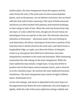 mother plant, the inner integument forms the tegmen and the 
outer forms the testa. (The seed coats of some monocotyledon 
plants, such as the grasses, are not distinct structures, but are fused 
with the fruit wall to form a pericarp.) The taste of both monocots 
and dicots are often marked with patterns and textured markings, 
or have wings or tufts of hair. When the seed coat forms from only 
one layer, it is also called the testa, though not all such testae are 
homologous from one species to the next. The funiculus abscisses 
(detaches at fixed point – abscission zone), the scar forming an 
oval depression, the hilum. Anatropous ovules have a portion of the 
funiculus that is adnate (fused to the seed coat), and which forms a 
longitudinal ridge, or raphe, just above the hilum. In bitegmic 
ovules (e.g. Gossypium described here) both inner and outer 
integuments contribute to the seed coat formation. With continuing 
maturation the cells enlarge in the outer integument. While the 
inner epidermis may remain a single layer, it may also divide to 
produce two to three layers and accumulate starch, and is referred 
to as the colourless layer. By contrast the outer epidermis becomes 
tanniferous. The inner integument may consist of eight to fifteen 
layers. (Kozlowski 1972) 
As the cells enlarge, and starch is deposited in the outer layers of 
the pigmented zone below the outer epidermis, this zone begins to 
lignify, while the cells of the outer epidermis enlarge radially and 
 