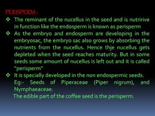 PERISPERM:-
 The reminant of the nucellus in the seed and is nutririve
in function like the endosperm is known as perisperm
 As the embryo and endosperm are developing in the
embryosac, the embryo sac also grows by absorbing the
nutrients from the nucellus. Hence thje nucellus gets
depleted when the seed reaches maturity. But in some
seeds some amount of nucellus is left out and it is called
“perisperm”
 It is specially developed in the non endospermic seeds.
Eg:- Seeds of Piperaceae (Piper nigrum), and
Nymphaeaceae.
The edible part of the coffee seed is the perisperm.
 