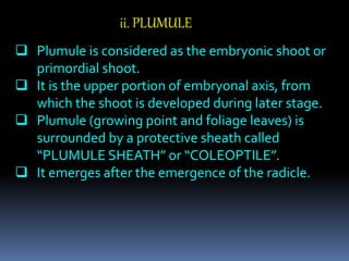ii. PLUMULE
 Plumule is considered as the embryonic shoot or
primordial shoot.
 It is the upper portion of embryonal axi...
