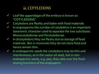 Iv. HYPOCOTYL
The portion of the embryonal axis lying
immediately below the cotyledons is known as
“HYPOCOTYL”.
Plays a ...