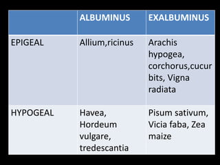 ALBUMINUS EXALBUMINUS
EPIGEAL Allium,ricinus Arachis
hypogea,
corchorus,cucur
bits, Vigna
radiata
HYPOGEAL Havea,
Hordeum
vulgare,
tredescantia
Pisum sativum,
Vicia faba, Zea
maize
 