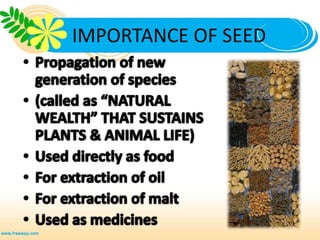 IMPORTANCE OF SEED
 