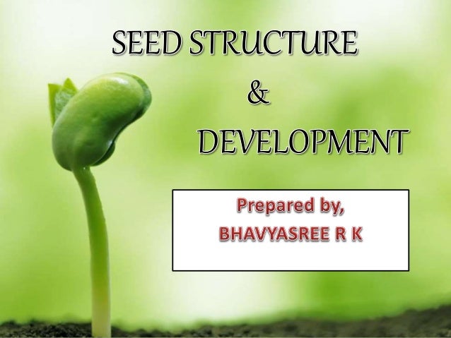 measuring the success of pisum sativum Tolerance of pea (pisum sativum l) to long-term salt stress is associated with induction of antioxidant defences. measuring the success of pisum sativum Tolerance of pea (pisum sativum l) to long-term salt stress is associated with induction of antioxidant defences.