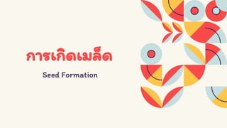 Seed structure and development 333 