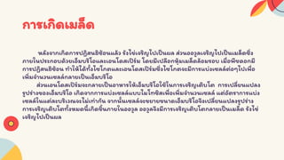 Seed structure and development 333 