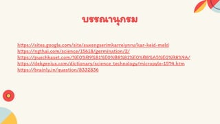 Seed structure and development 333 