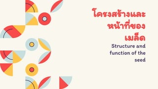 Seed structure and development 333 