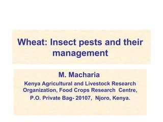 Wheat: Insect pests and their
management
M. Macharia
Kenya Agricultural and Livestock Research
Organization, Food Crops Research Centre,
P.O. Private Bag- 20107, Njoro, Kenya.
 