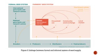 Seed Distribution System Seed system of nepal 5th semester lamjung campus | PDF