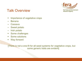 Talk Overview <ul><li>Importance of vegetative crops </li></ul><ul><li>Banana </li></ul><ul><li>Cassava </li></ul><ul><li>...
