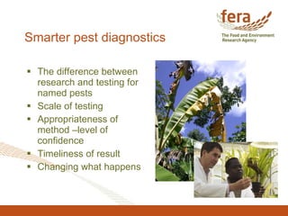 Smarter pest diagnostics <ul><li>The difference between research and testing for named pests </li></ul><ul><li>Scale of te...