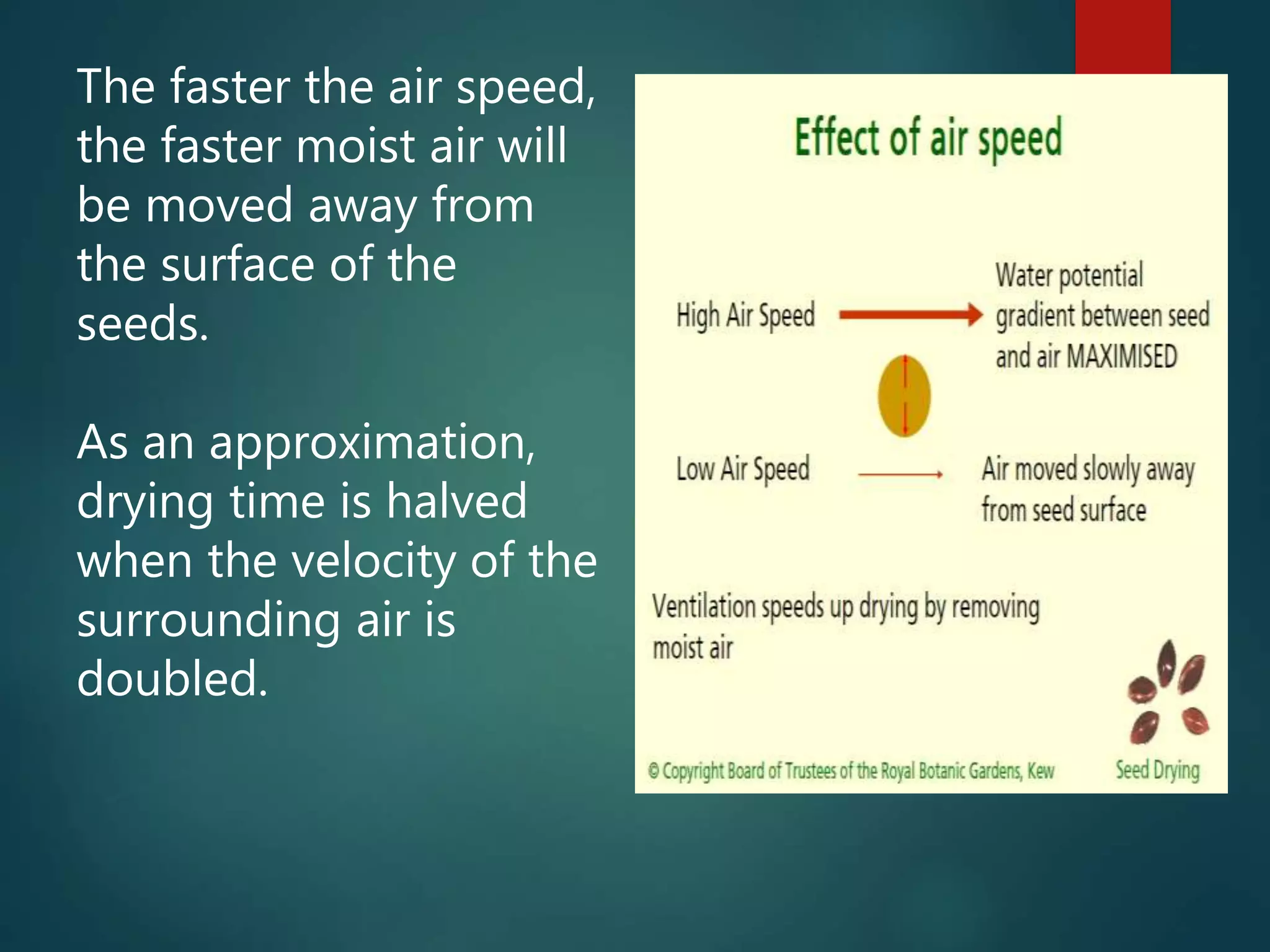 The faster the air speed,
the faster moist air will
be moved away from
the surface of the
seeds.
As an approximation,
drying time is halved
when the velocity of the
surrounding air is
doubled.
 
