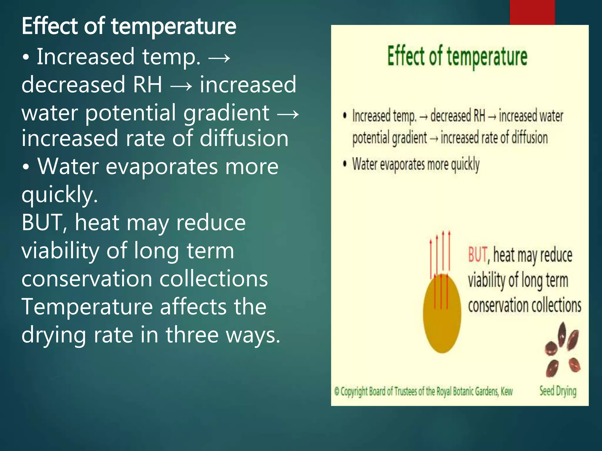 Effect of temperature
• Increased temp. →
decreased RH → increased
water potential gradient →
increased rate of diffusion
• Water evaporates more
quickly.
BUT, heat may reduce
viability of long term
conservation collections
Temperature affects the
drying rate in three ways.
 