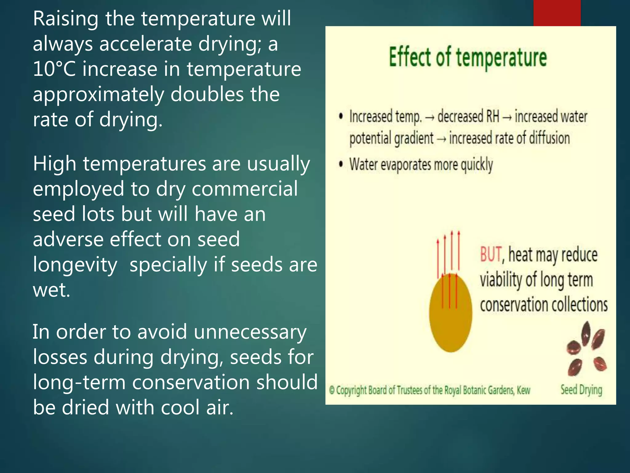 Raising the temperature will
always accelerate drying; a
10°C increase in temperature
approximately doubles the
rate of drying.
High temperatures are usually
employed to dry commercial
seed lots but will have an
adverse effect on seed
longevity specially if seeds are
wet.
In order to avoid unnecessary
losses during drying, seeds for
long-term conservation should
be dried with cool air.
 