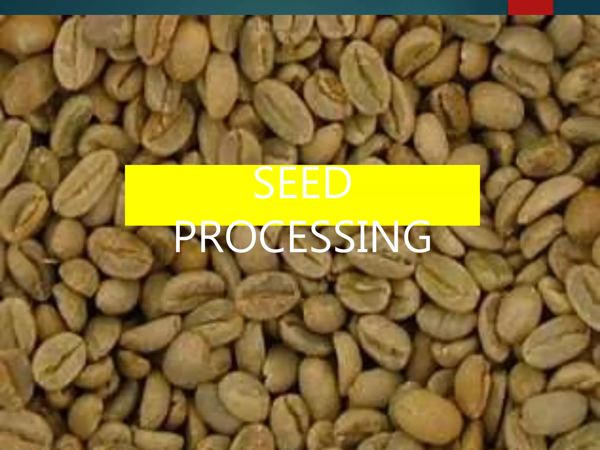 SEED
PROCESSING
 