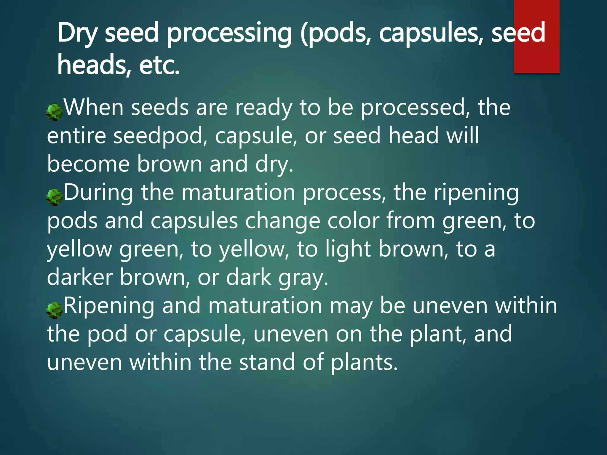 When seeds are ready to be processed, the
entire seedpod, capsule, or seed head will
become brown and dry.
During the maturation process, the ripening
pods and capsules change color from green, to
yellow green, to yellow, to light brown, to a
darker brown, or dark gray.
Ripening and maturation may be uneven within
the pod or capsule, uneven on the plant, and
uneven within the stand of plants.
Dry seed processing (pods, capsules, seed
heads, etc.
 