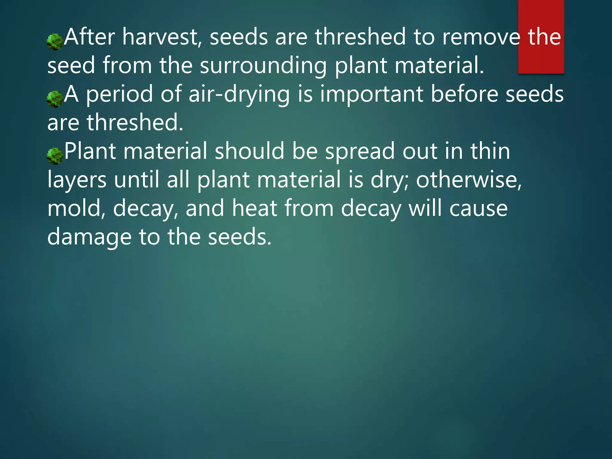 After harvest, seeds are threshed to remove the
seed from the surrounding plant material.
A period of air-drying is important before seeds
are threshed.
Plant material should be spread out in thin
layers until all plant material is dry; otherwise,
mold, decay, and heat from decay will cause
damage to the seeds.
 