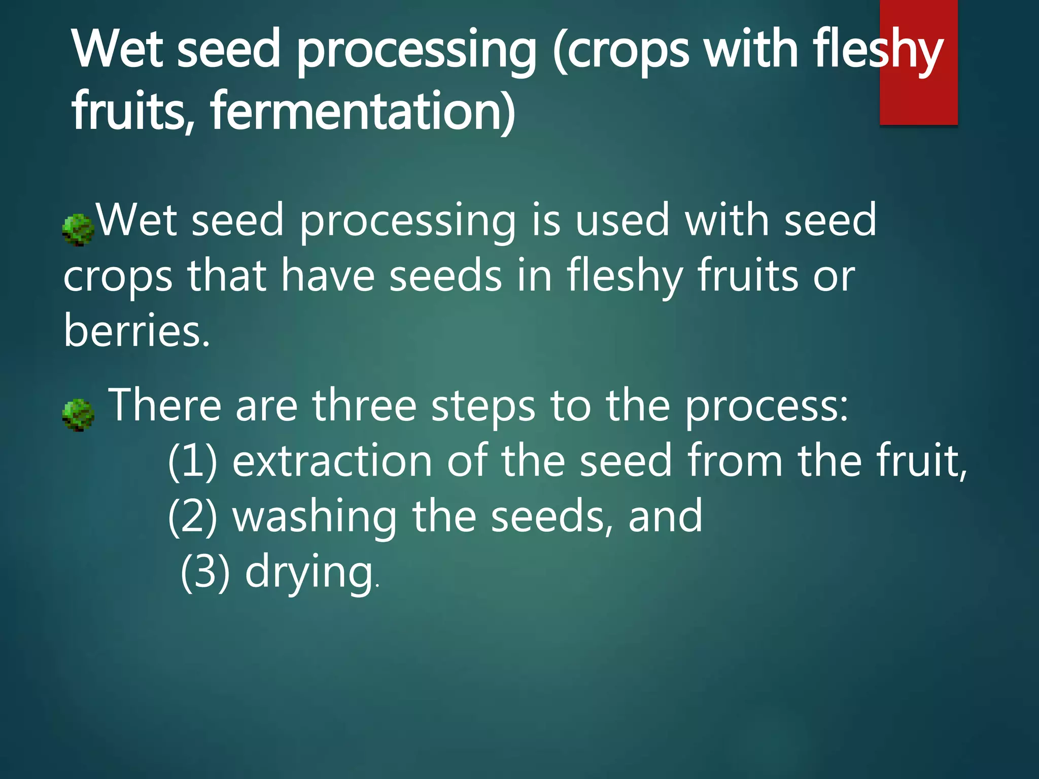 Wet seed processing is used with seed
crops that have seeds in fleshy fruits or
berries.
There are three steps to the process:
(1) extraction of the seed from the fruit,
(2) washing the seeds, and
(3) drying.
Wet seed processing (crops with fleshy
fruits, fermentation)
 