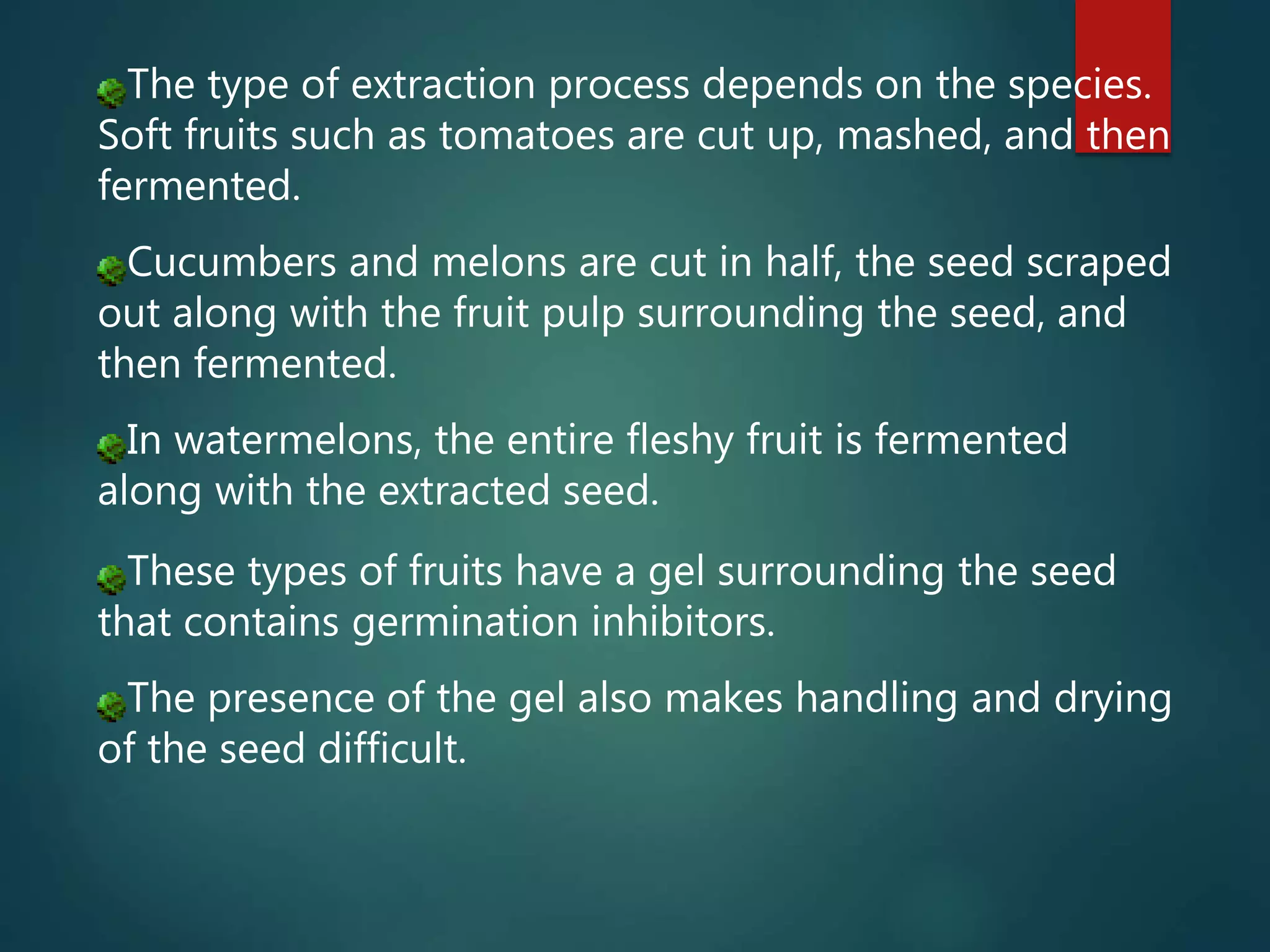 The type of extraction process depends on the species.
Soft fruits such as tomatoes are cut up, mashed, and then
fermented.
Cucumbers and melons are cut in half, the seed scraped
out along with the fruit pulp surrounding the seed, and
then fermented.
In watermelons, the entire fleshy fruit is fermented
along with the extracted seed.
These types of fruits have a gel surrounding the seed
that contains germination inhibitors.
The presence of the gel also makes handling and drying
of the seed difficult.
 