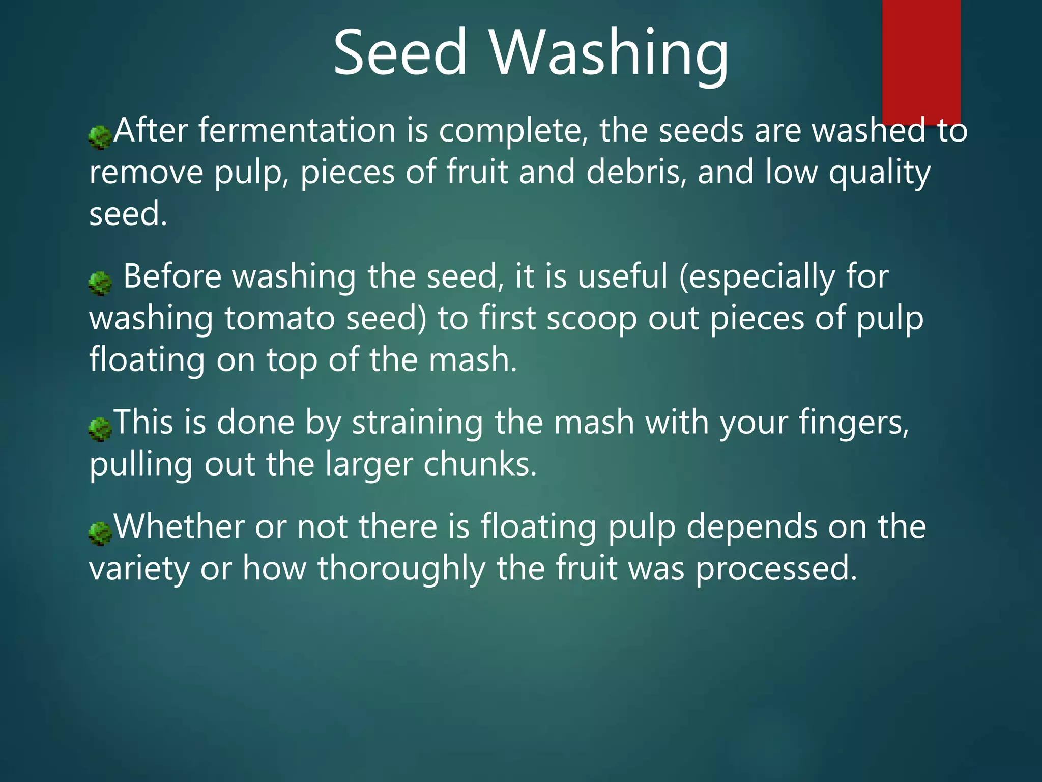 After fermentation is complete, the seeds are washed to
remove pulp, pieces of fruit and debris, and low quality
seed.
Before washing the seed, it is useful (especially for
washing tomato seed) to first scoop out pieces of pulp
floating on top of the mash.
This is done by straining the mash with your fingers,
pulling out the larger chunks.
Whether or not there is floating pulp depends on the
variety or how thoroughly the fruit was processed.
Seed Washing
 