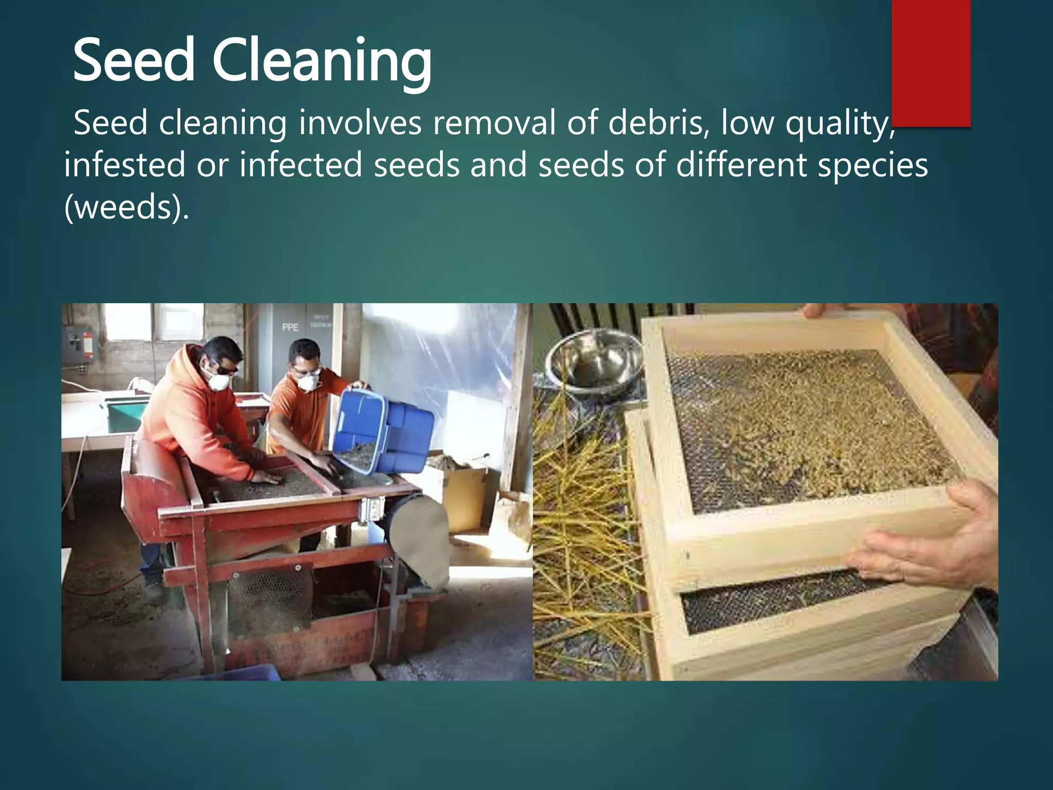 Seed cleaning involves removal of debris, low quality,
infested or infected seeds and seeds of different species
(weeds).
Seed Cleaning
 
