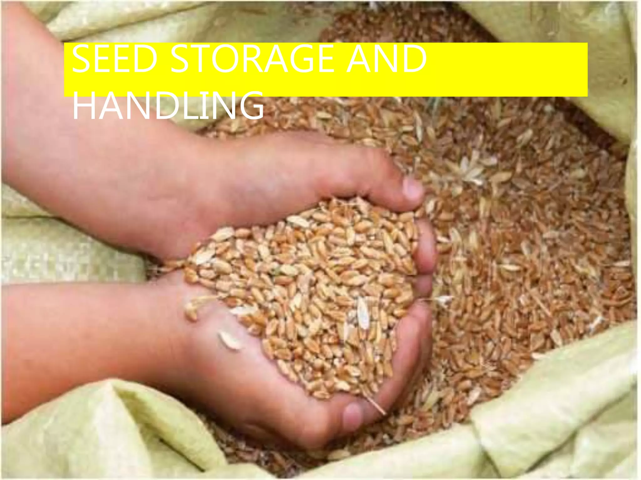 SEED STORAGE AND
HANDLING
 