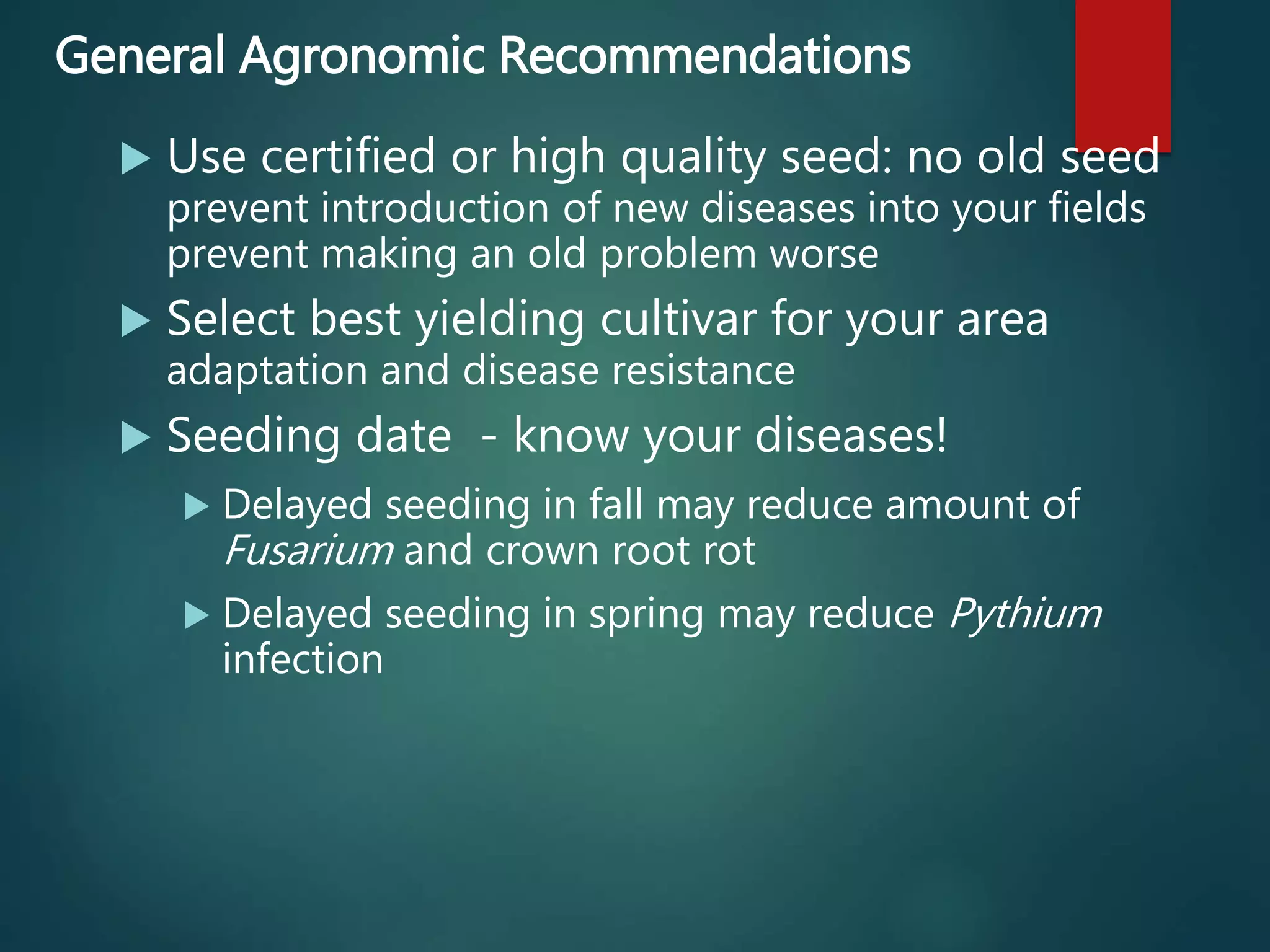 General Agronomic Recommendations
 Use certified or high quality seed: no old seed
prevent introduction of new diseases into your fields
prevent making an old problem worse
 Select best yielding cultivar for your area
adaptation and disease resistance
 Seeding date - know your diseases!
 Delayed seeding in fall may reduce amount of
Fusarium and crown root rot
 Delayed seeding in spring may reduce Pythium
infection
 