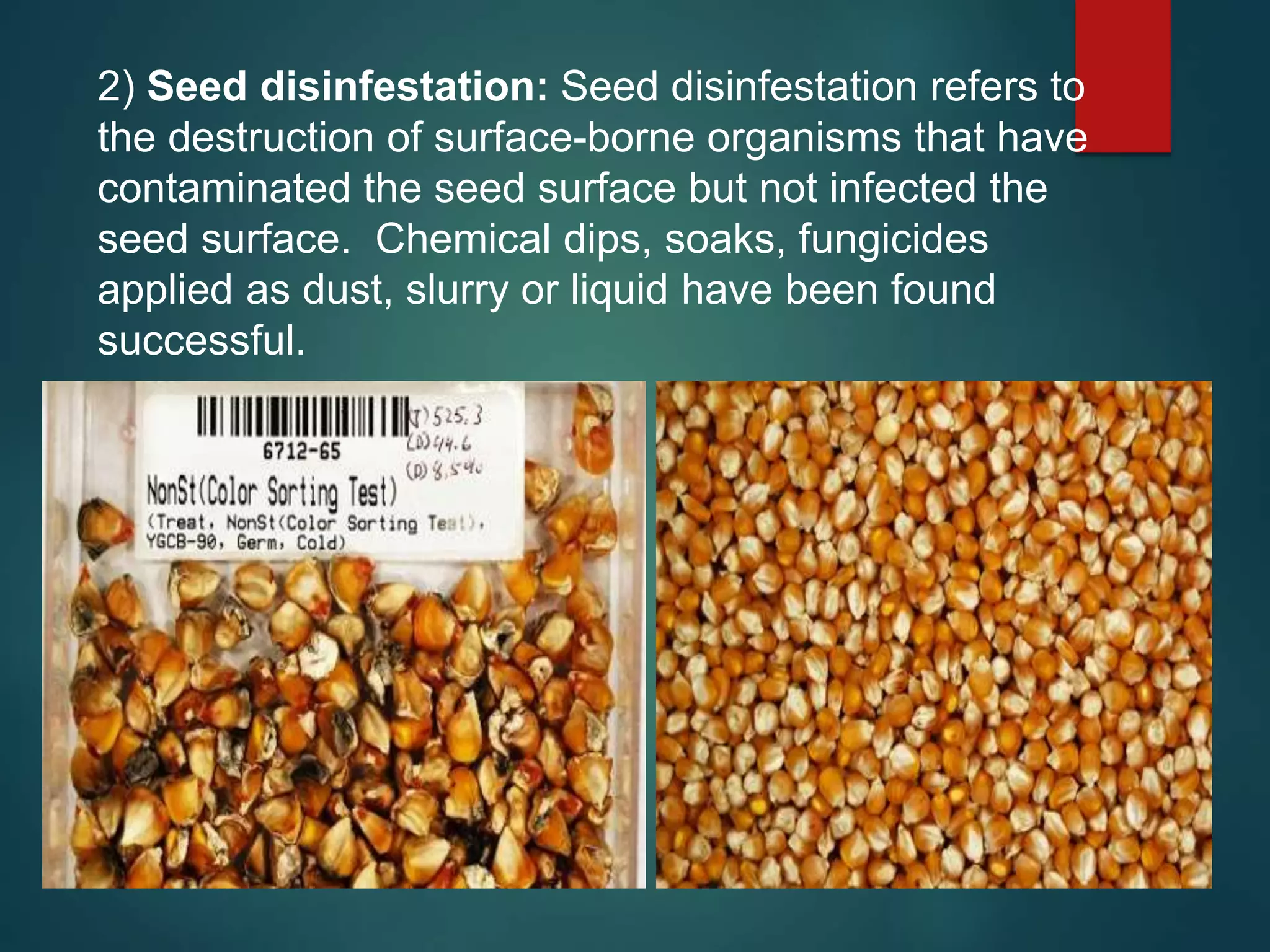 2) Seed disinfestation: Seed disinfestation refers to
the destruction of surface-borne organisms that have
contaminated the seed surface but not infected the
seed surface. Chemical dips, soaks, fungicides
applied as dust, slurry or liquid have been found
successful.
 