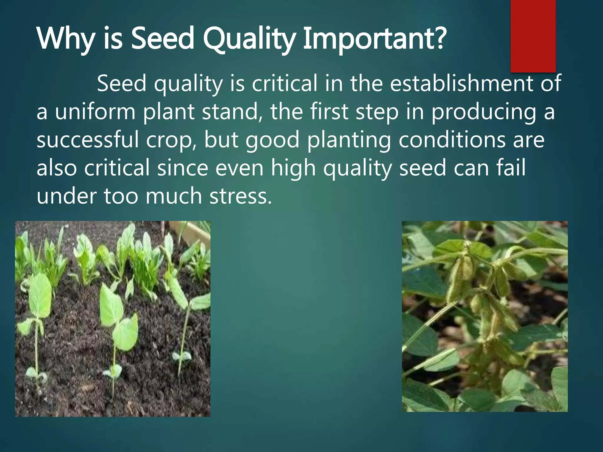Why is Seed Quality Important?
Seed quality is critical in the establishment of
a uniform plant stand, the first step in producing a
successful crop, but good planting conditions are
also critical since even high quality seed can fail
under too much stress.
 