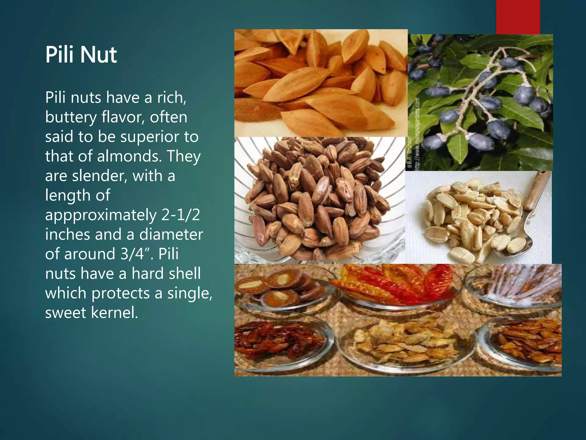 Pili Nut
Pili nuts have a rich,
buttery flavor, often
said to be superior to
that of almonds. They
are slender, with a
length of
appproximately 2-1/2
inches and a diameter
of around 3/4”. Pili
nuts have a hard shell
which protects a single,
sweet kernel.
 