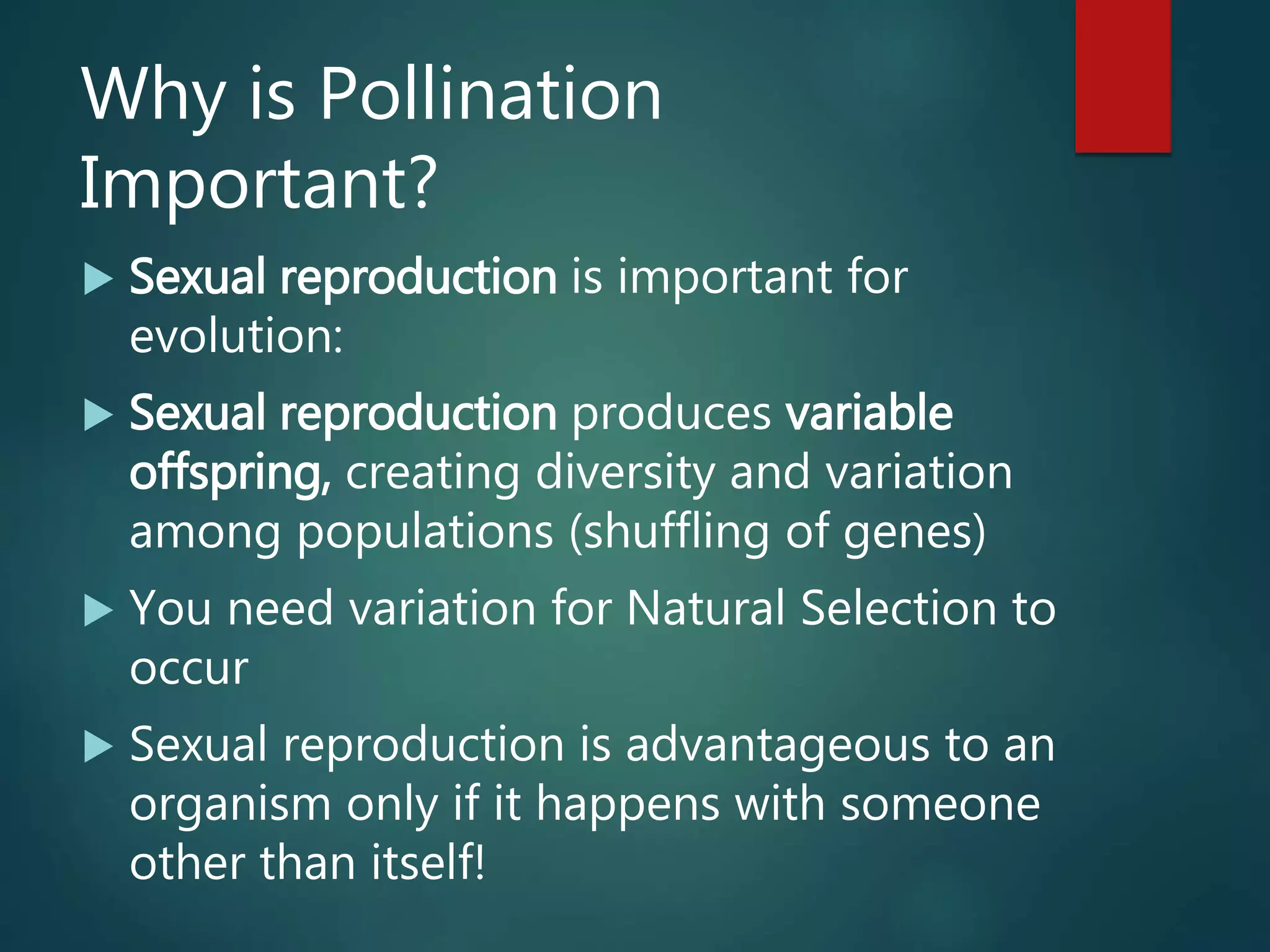 Why is Pollination
Important?
 Sexual reproduction is important for
evolution:
 Sexual reproduction produces variable
offspring, creating diversity and variation
among populations (shuffling of genes)
 You need variation for Natural Selection to
occur
 Sexual reproduction is advantageous to an
organism only if it happens with someone
other than itself!
 