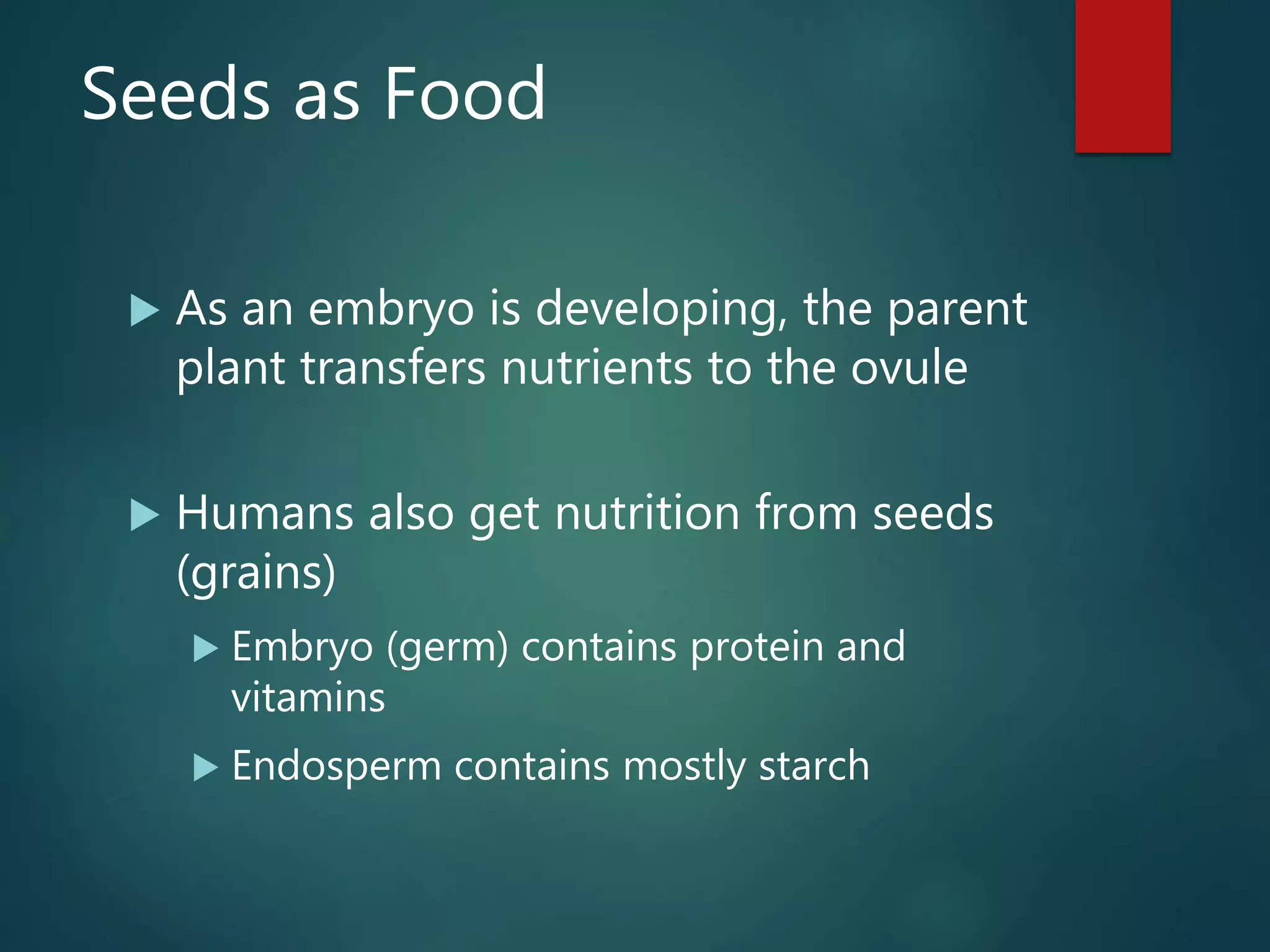 Seeds as Food
 As an embryo is developing, the parent
plant transfers nutrients to the ovule
 Humans also get nutrition from seeds
(grains)
 Embryo (germ) contains protein and
vitamins
 Endosperm contains mostly starch
 
