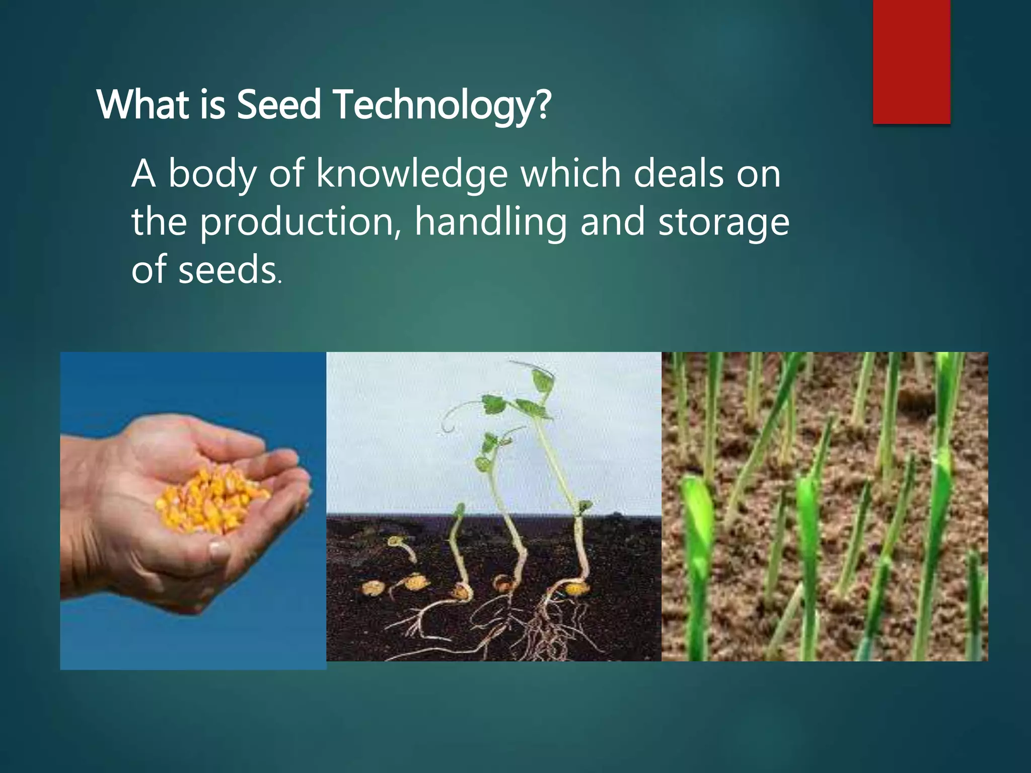 What is Seed Technology?
A body of knowledge which deals on
the production, handling and storage
of seeds.
 