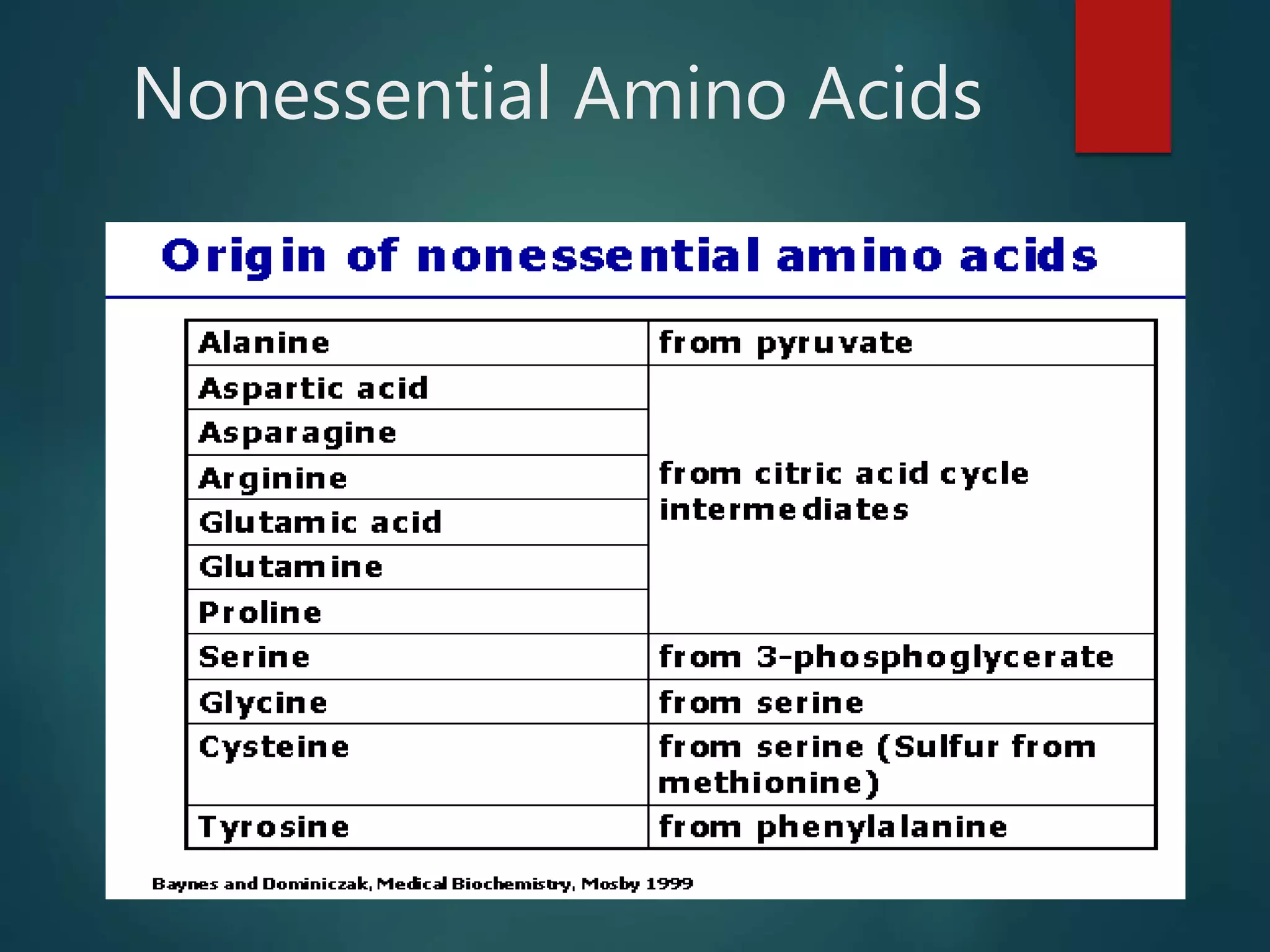Nonessential Amino Acids
 