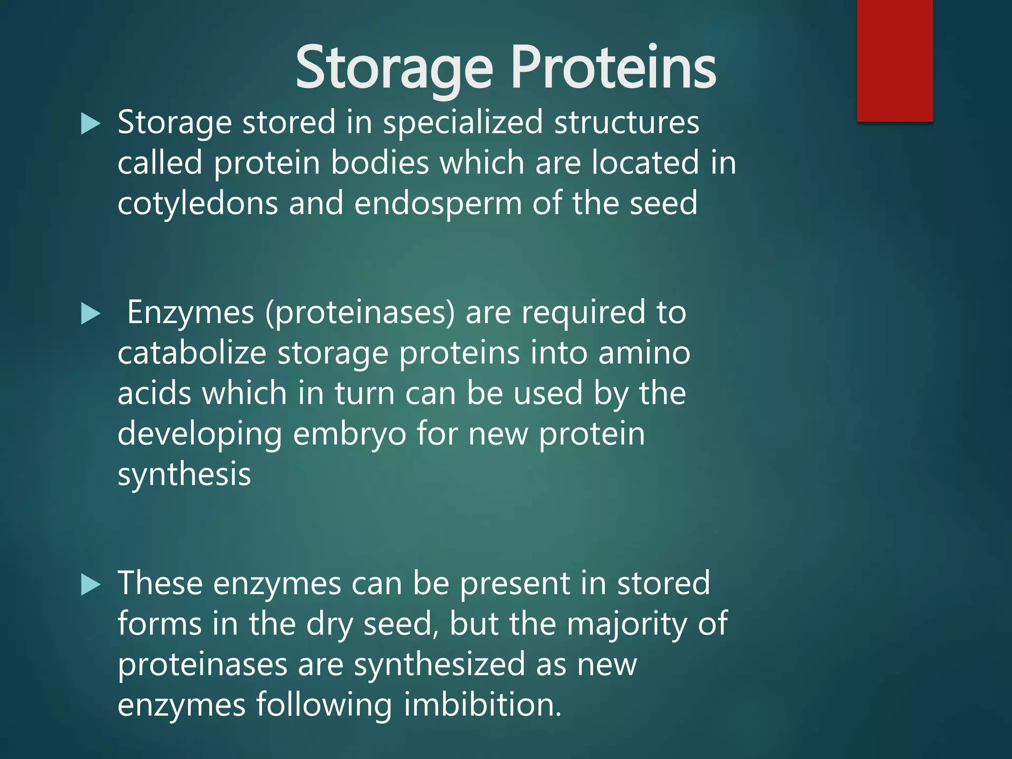 Storage Proteins
 Storage stored in specialized structures
called protein bodies which are located in
cotyledons and endosperm of the seed
 Enzymes (proteinases) are required to
catabolize storage proteins into amino
acids which in turn can be used by the
developing embryo for new protein
synthesis
 These enzymes can be present in stored
forms in the dry seed, but the majority of
proteinases are synthesized as new
enzymes following imbibition.
 