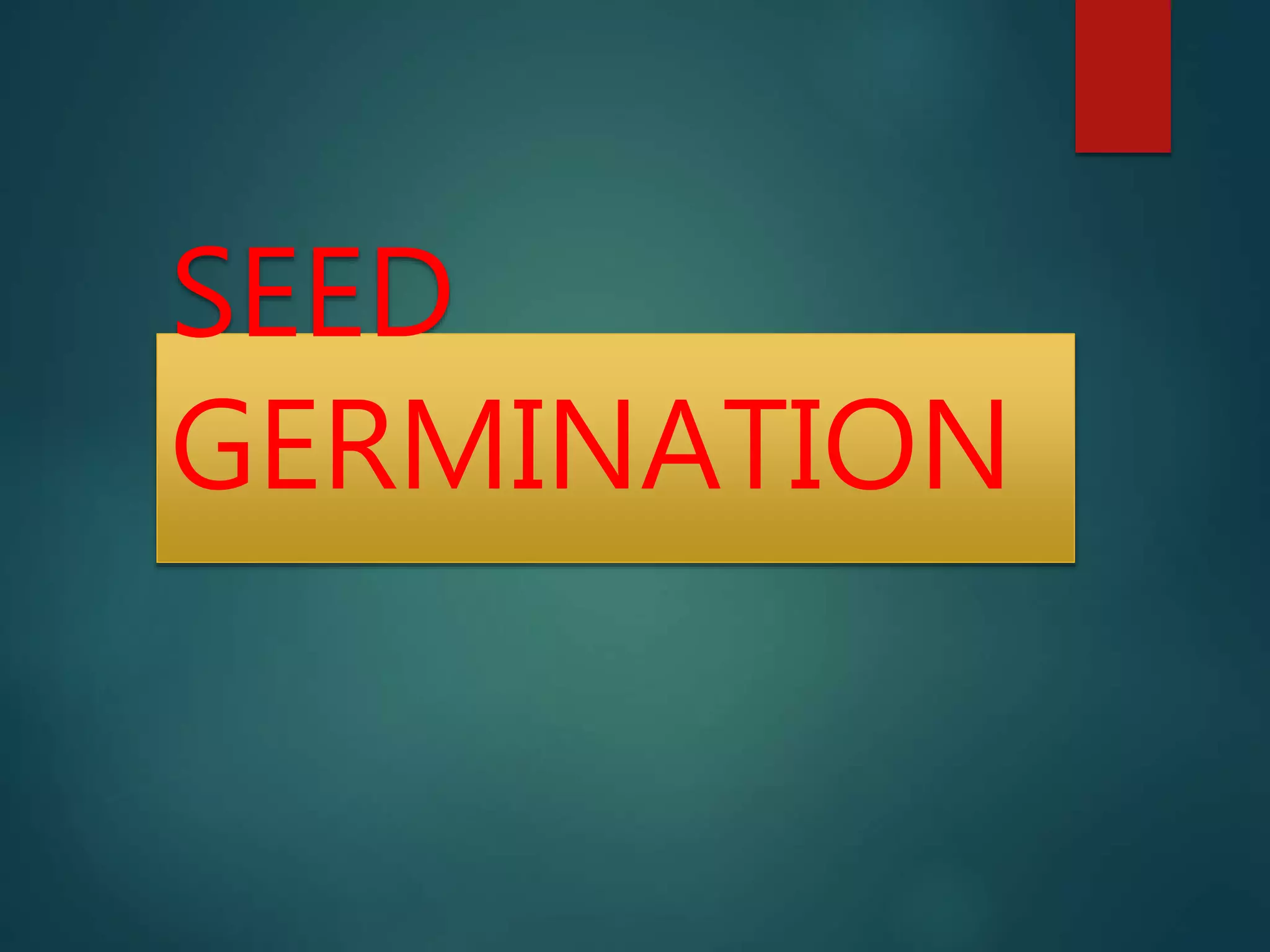 SEED
GERMINATION
 