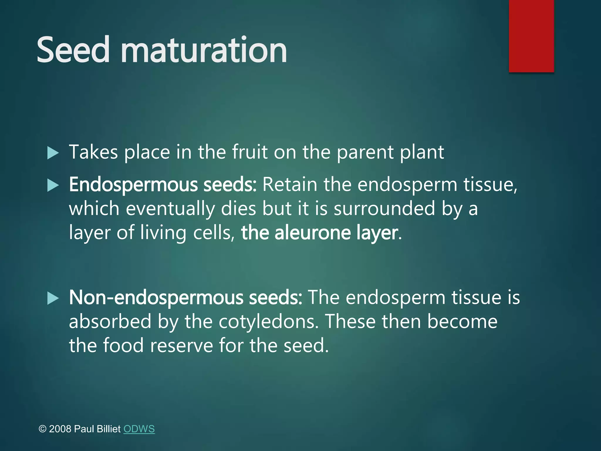 Seed maturation
 Takes place in the fruit on the parent plant
 Endospermous seeds: Retain the endosperm tissue,
which eventually dies but it is surrounded by a
layer of living cells, the aleurone layer.
 Non-endospermous seeds: The endosperm tissue is
absorbed by the cotyledons. These then become
the food reserve for the seed.
© 2008 Paul Billiet ODWS
 
