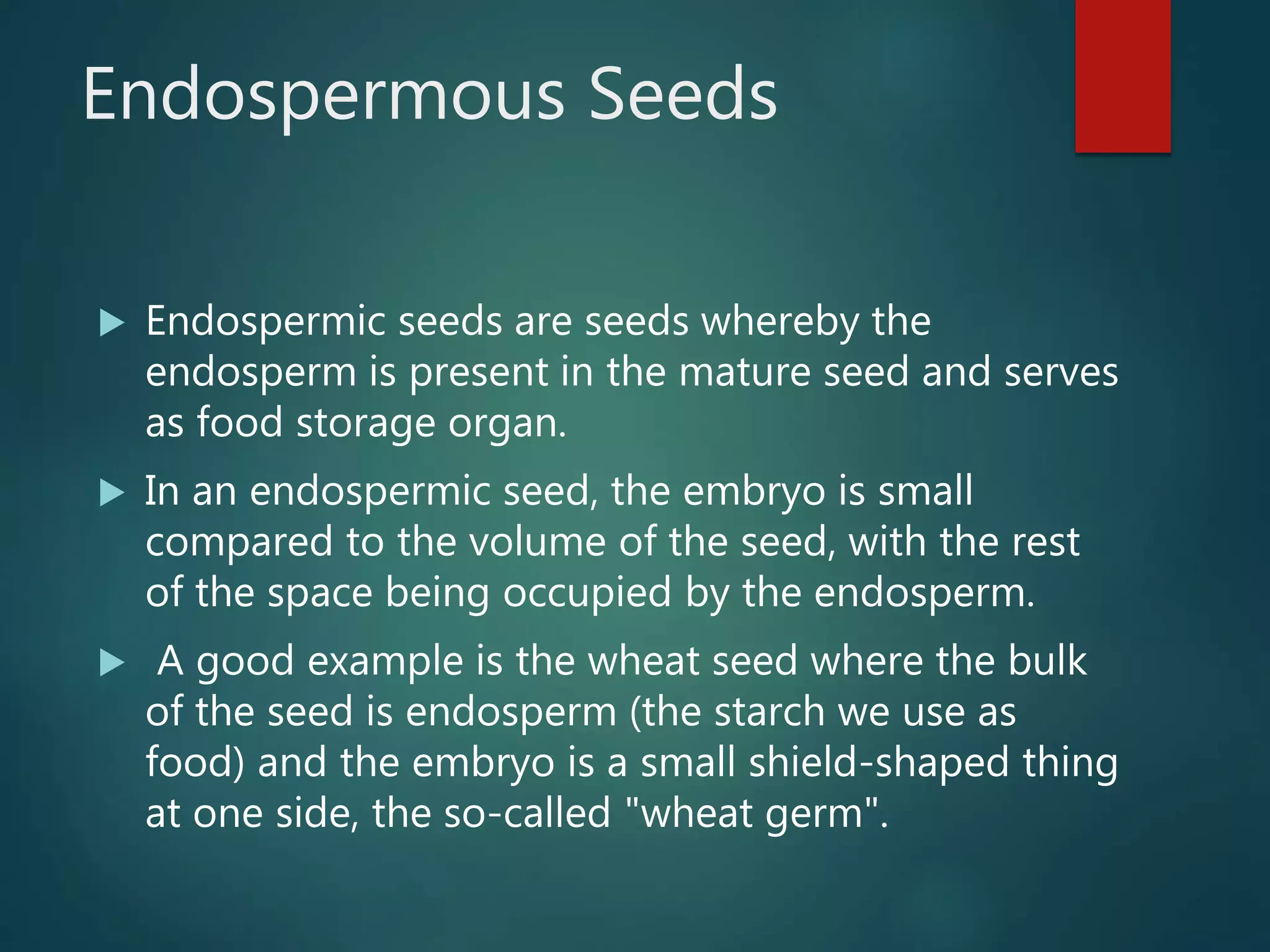 Endospermous Seeds
 Endospermic seeds are seeds whereby the
endosperm is present in the mature seed and serves
as food storage organ.
 In an endospermic seed, the embryo is small
compared to the volume of the seed, with the rest
of the space being occupied by the endosperm.
 A good example is the wheat seed where the bulk
of the seed is endosperm (the starch we use as
food) and the embryo is a small shield-shaped thing
at one side, the so-called "wheat germ".
 