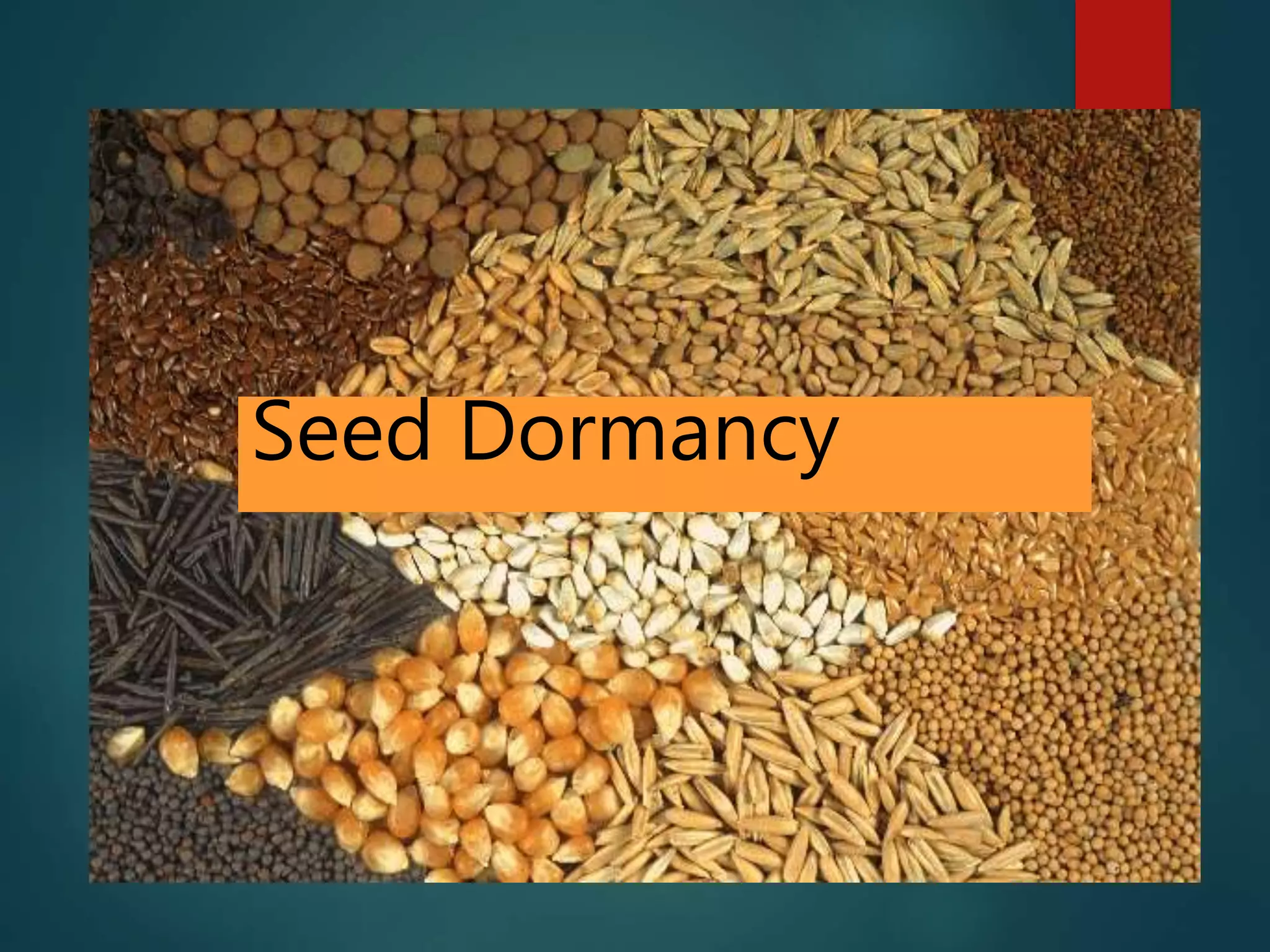 Seed Dormancy
 