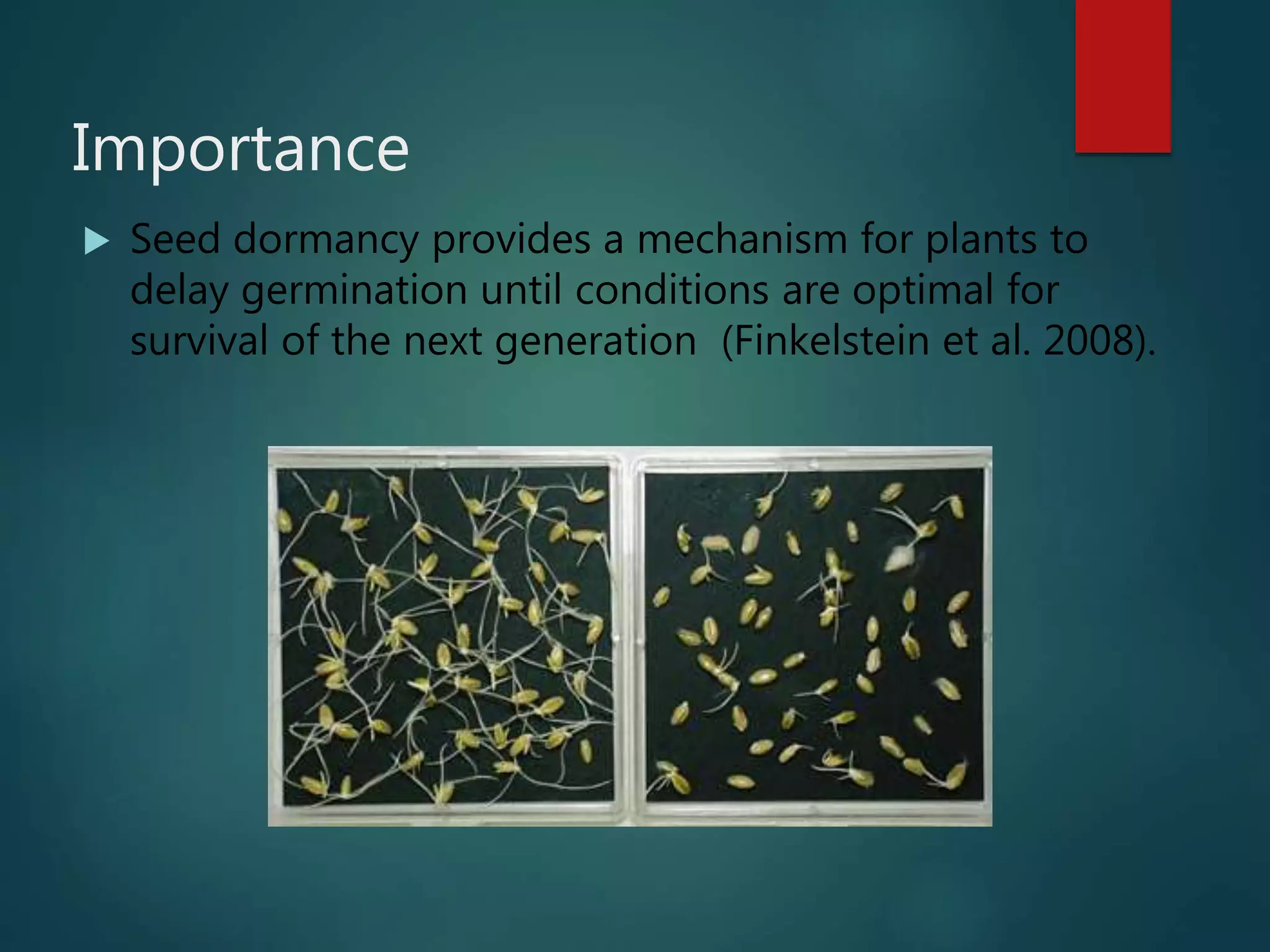 Importance
 Seed dormancy provides a mechanism for plants to
delay germination until conditions are optimal for
survival of the next generation (Finkelstein et al. 2008).
 