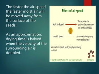 The faster the air speed,
the faster moist air will
be moved away from
the surface of the
seeds.
As an approximation,
drying time is halved
when the velocity of the
surrounding air is
doubled.
 