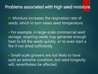 Moisture increases the respiration rate of
seeds, which in turn raises seed temperature.
For example, in large-scale commercial seed
storage, respiring seeds may generate enough
heat to kill the seeds quickly, or to even start a
fire if not dried sufficiently.
Small-scale growers are not likely to have
such an extreme condition, but seed longevity
will, nevertheless be affected.
Problems associated with high seed moisture
 
