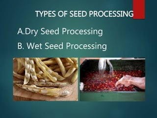TYPES OF SEED PROCESSING
A.Dry Seed Processing
B. Wet Seed Processing
 