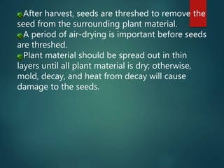 After harvest, seeds are threshed to remove the
seed from the surrounding plant material.
A period of air-drying is important before seeds
are threshed.
Plant material should be spread out in thin
layers until all plant material is dry; otherwise,
mold, decay, and heat from decay will cause
damage to the seeds.
 