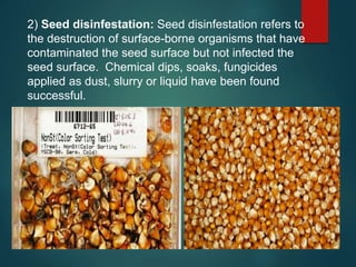 2) Seed disinfestation: Seed disinfestation refers to
the destruction of surface-borne organisms that have
contaminated the seed surface but not infected the
seed surface. Chemical dips, soaks, fungicides
applied as dust, slurry or liquid have been found
successful.
 