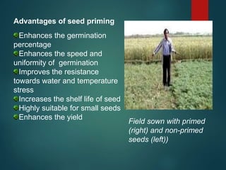 Advantages of seed priming
Enhances the germination
percentage
Enhances the speed and
uniformity of germination
Improves the resistance
towards water and temperature
stress
Increases the shelf life of seed
Highly suitable for small seeds
Enhances the yield
Field sown with primed
(right) and non-primed
seeds (left))
 