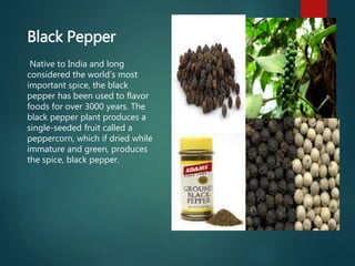 Black Pepper
Native to India and long
considered the world’s most
important spice, the black
pepper has been used to flavor
foods for over 3000 years. The
black pepper plant produces a
single-seeded fruit called a
peppercorn, which if dried while
immature and green, produces
the spice, black pepper.
 
